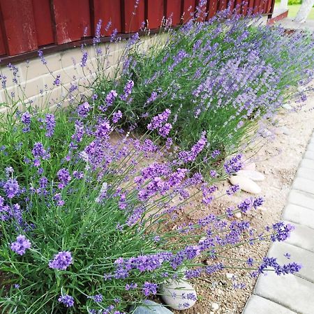 קרטינגה 9 Min From Palanga! Luxury House On The River And Sauna מראה חיצוני תמונה