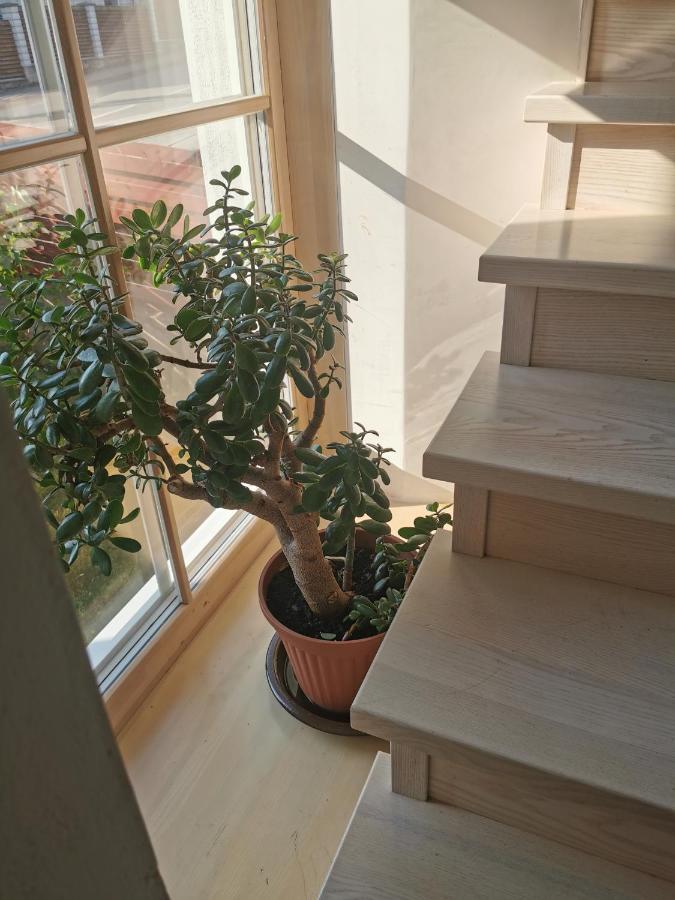 קרטינגה 9 Min From Palanga! Luxury House On The River And Sauna מראה חיצוני תמונה